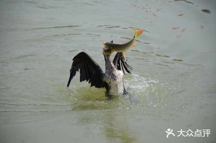 星巴克(北京通州新光大中心店)图片