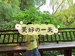 -同里国家湿地公园