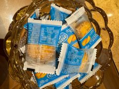 -上海安亭别墅花园酒店