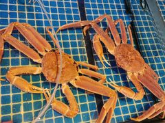 -今鲜源大酒店·中华餐饮名店(新湛路店)