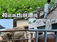 -保定市动物园