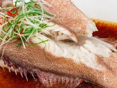 -蝶园·装修中(BFC外滩金融中心店)