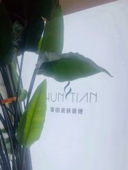 -春田皮肤管理中心品牌旗舰店