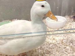 -狗道宠物(常熟印象城店)