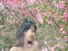 -天适樱花悠乐园