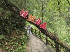 -西岭雪山大飞水景区