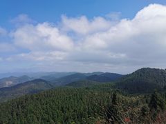 -武陵山森林公园