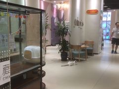 -藏猫猫咖啡主题馆(中央大道店)