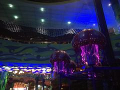 -青岛嘉年华主题乐园