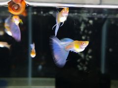 -海上海弘基休闲广场