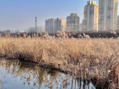 -前关湿地公园