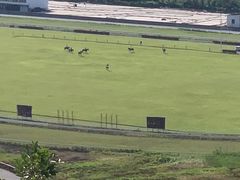 -平湖九龙山庄园圣马可酒店