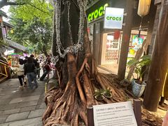 -重庆十八梯传统风貌区