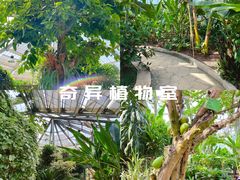 -中国科学院华南植物园