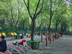 -唐城墙遗址公园