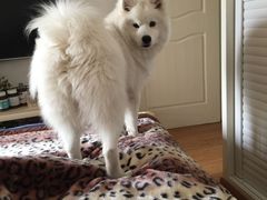 -爱侣宠医·鹦鹉专科·小型哺乳类·异宠专科(灵石路店)