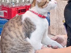 -滨海尚泰美食广场