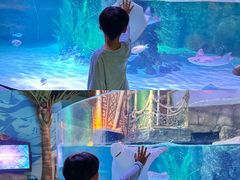 -沈阳海洋探索中心