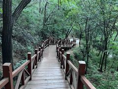 -大岭沟猕猴桃谷风景区