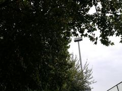 -中央民族大学