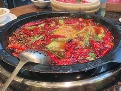 -一斗火锅·招财羊毛肚(上河城店)