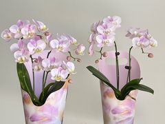 -番禺广场(市桥街道)