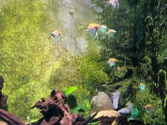 -常州海昌海洋探索馆