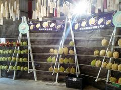 -都念榴莲·城市榴莲