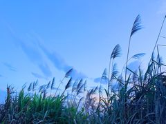 -东极岛景区