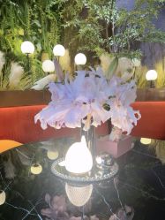 -花隐·美芙炫海菲秀皮肤管理中心