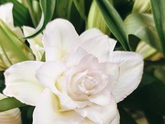 -花心思鲜花店(武昌徐东店)