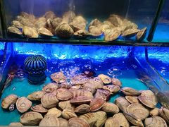 -SEA西雅图海鲜自助餐厅(海乐世界店)