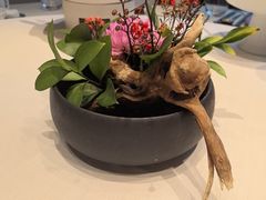 -蘇锦宴·淮扬菜烤鸭·小院(三元桥霄云路店)
