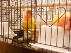 -虾满堂(瑞虹店)