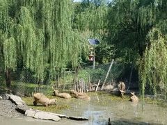 -溱湖国家湿地公园