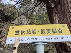 -大慈岩风景区