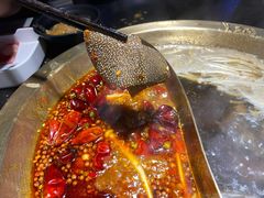 -锅说大脸毛肚重庆老火锅(佐阾店)