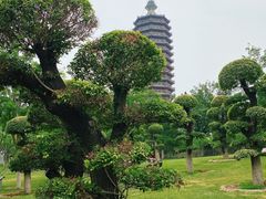 -西海子公园