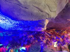 -茅台镇网红溶洞餐厅·茅帮菜馆