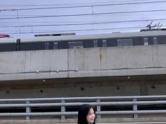-海堤纪念公园