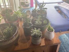 -SAH健身私教工作室(紫东店)