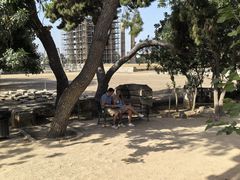 -奥林匹亚宙斯神庙