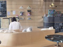 大堂-瞄一喵猫咖(格力海岸店)