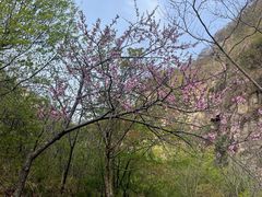 -黑龙潭风景区