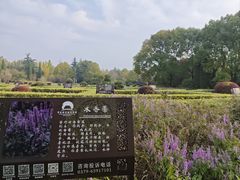 -洛阳市隋唐城遗址植物园