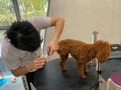 -宠爱国际动物医院(德胜门店)