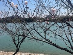 -羊山湖公园