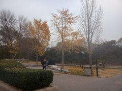 -玲珑塔公园