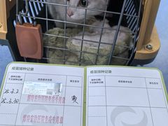 -博特宠物医院24h犬猫全科.骨科·异宠