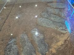 -中国西峡恐龙遗迹园
